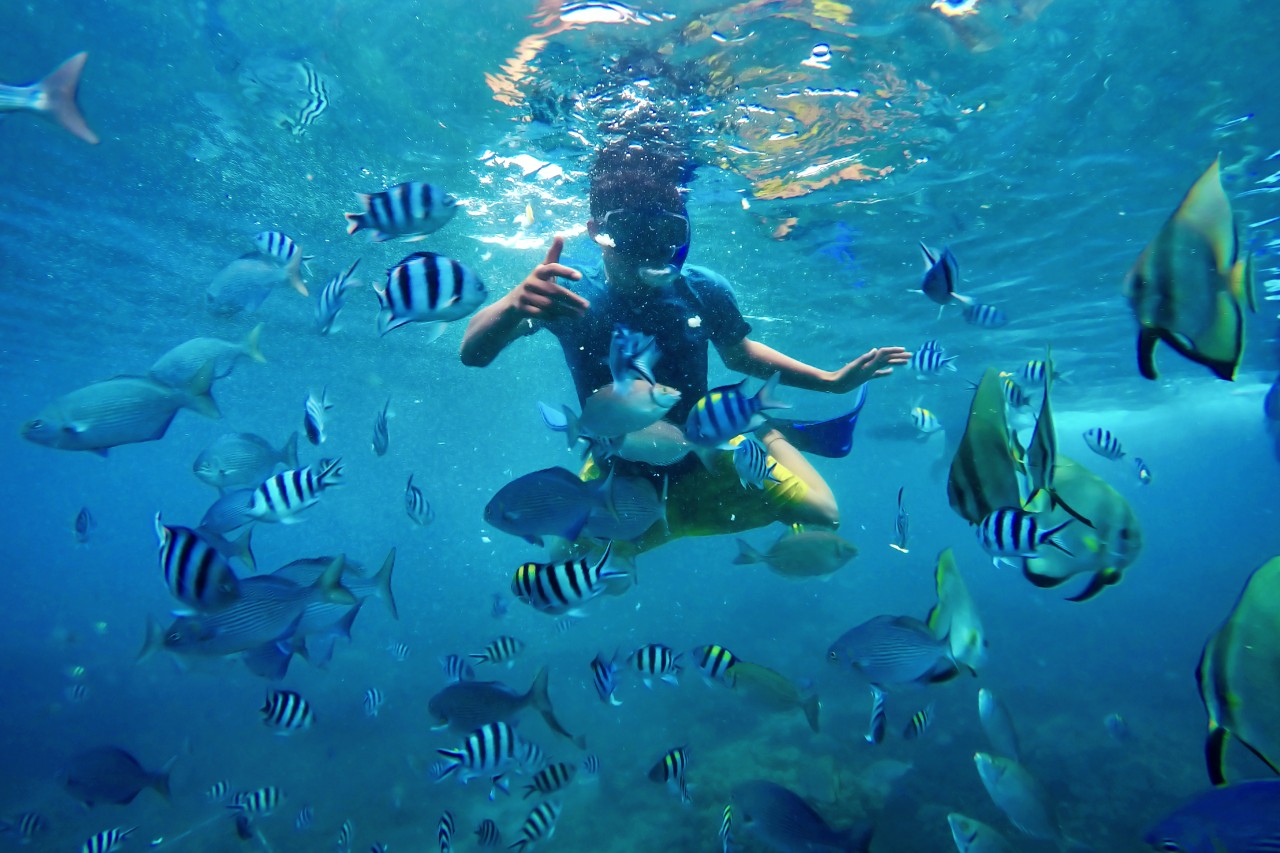 bangsring underwater